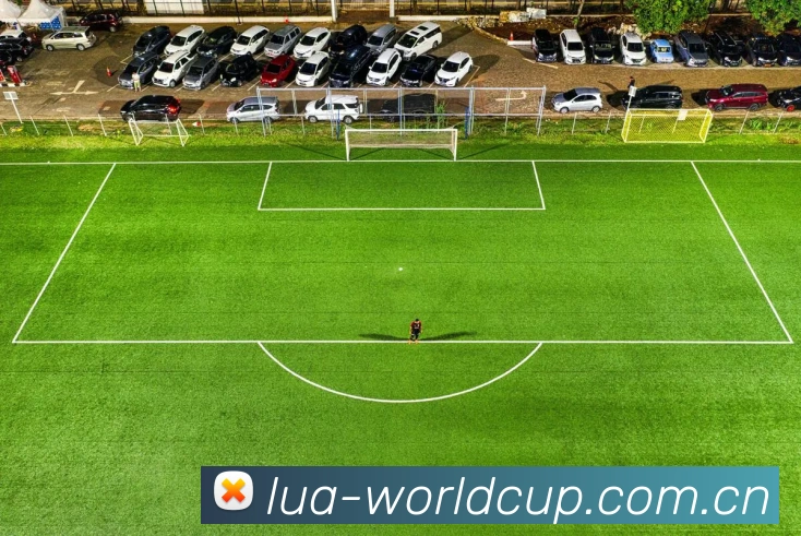 2026世界杯 App 界面展示